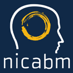 NICABM – Next Level Practitioner